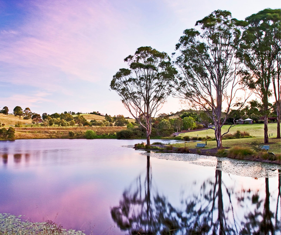 Botanic Gardens of Sydney